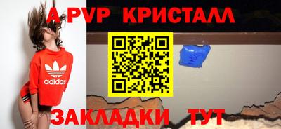 бошки Кингисепп