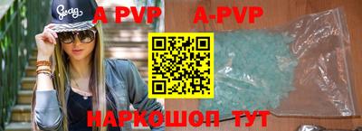бошки Кингисепп