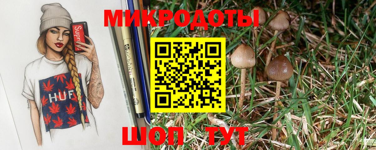 Псилоцибиновые грибы GOLDEN TEACHER Чайковский