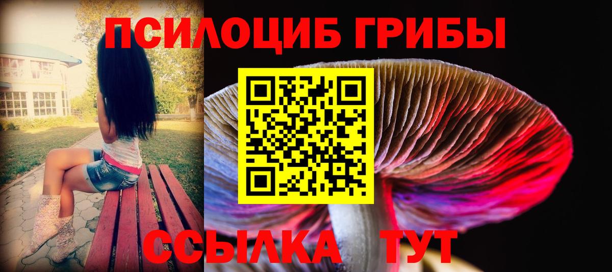Псилоцибиновые грибы Psilocybine cubensis  Вход с VPN  Чайковский  Галлюциногенные грибы MAGIC MUSHROOMS 
